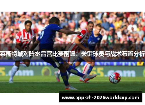 莱斯特城对阵水晶宫比赛前瞻：关键球员与战术布置分析